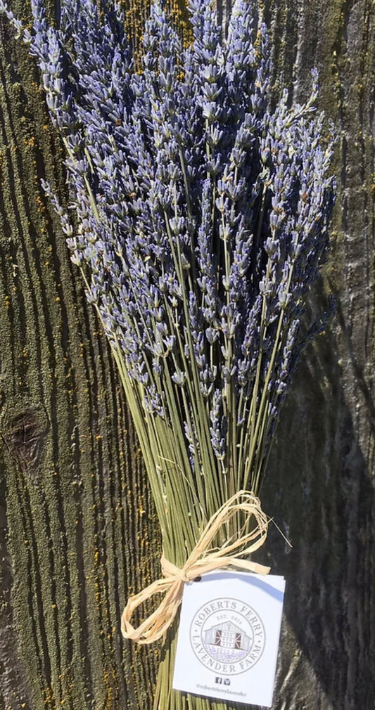 Dried lavender bunch